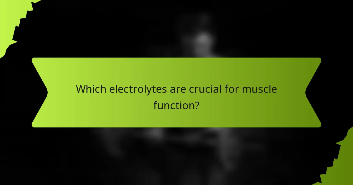 Which electrolytes are crucial for muscle function?